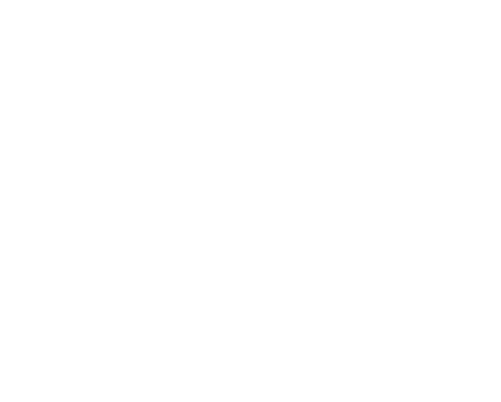 SSDC Logo